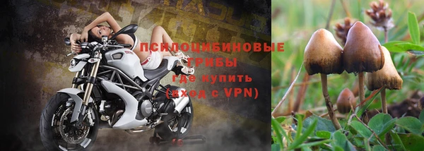 MESCALINE Няндома